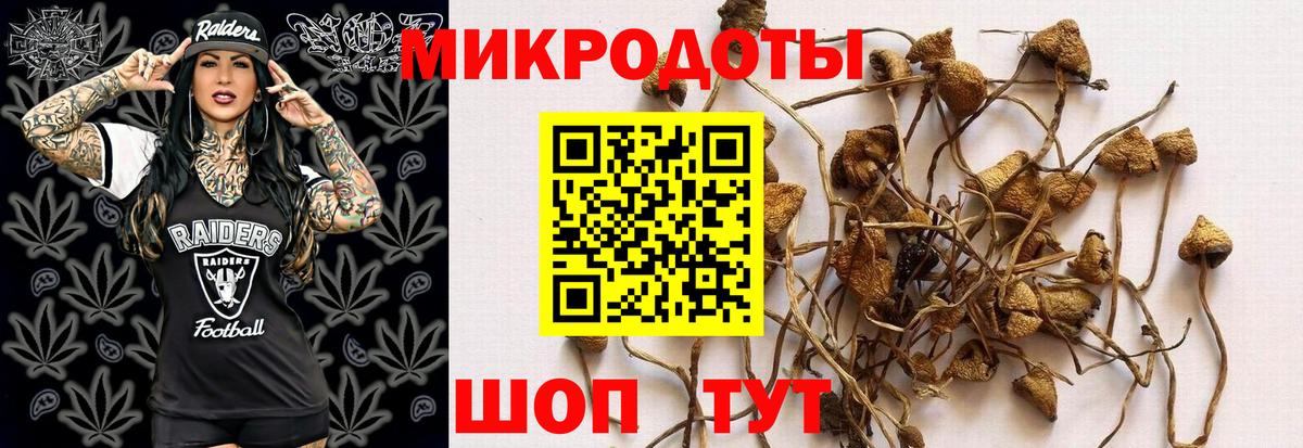 Псилоцибиновые грибы Magic Shrooms Кингисепп
