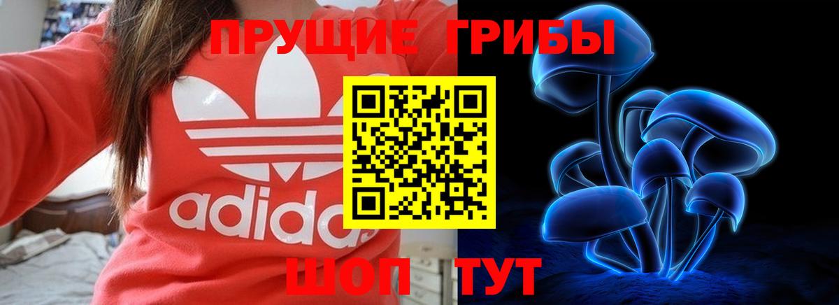Галлюциногенные грибы MAGIC MUSHROOMS  Вход с VPN  Кингисепп 